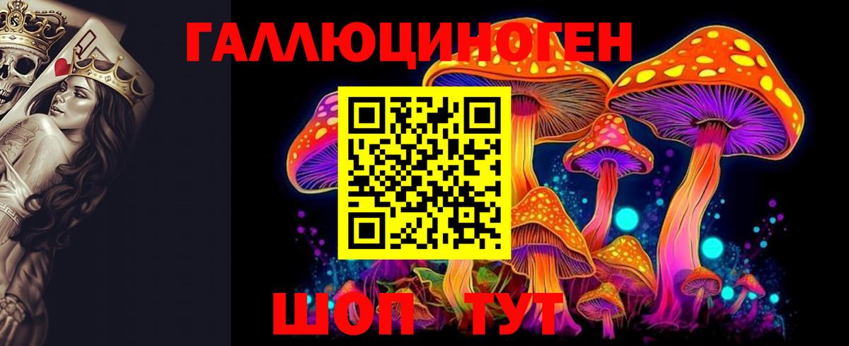 Асино  Псилоцибиновые грибы мухоморы  Вход с VPN 