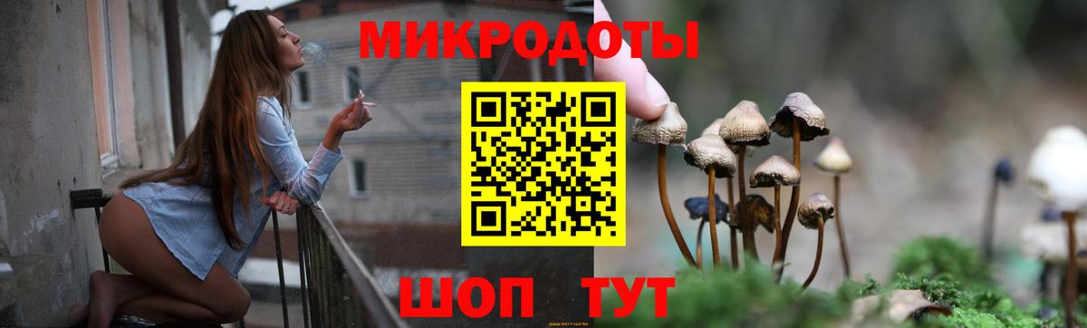 Псилоцибиновые грибы прущие грибы Асино